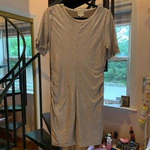 Silver sparkly bodycon dress